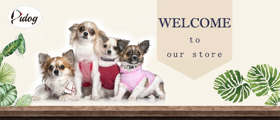 Padded Winter Dog Coat - Small to Medium Dogs