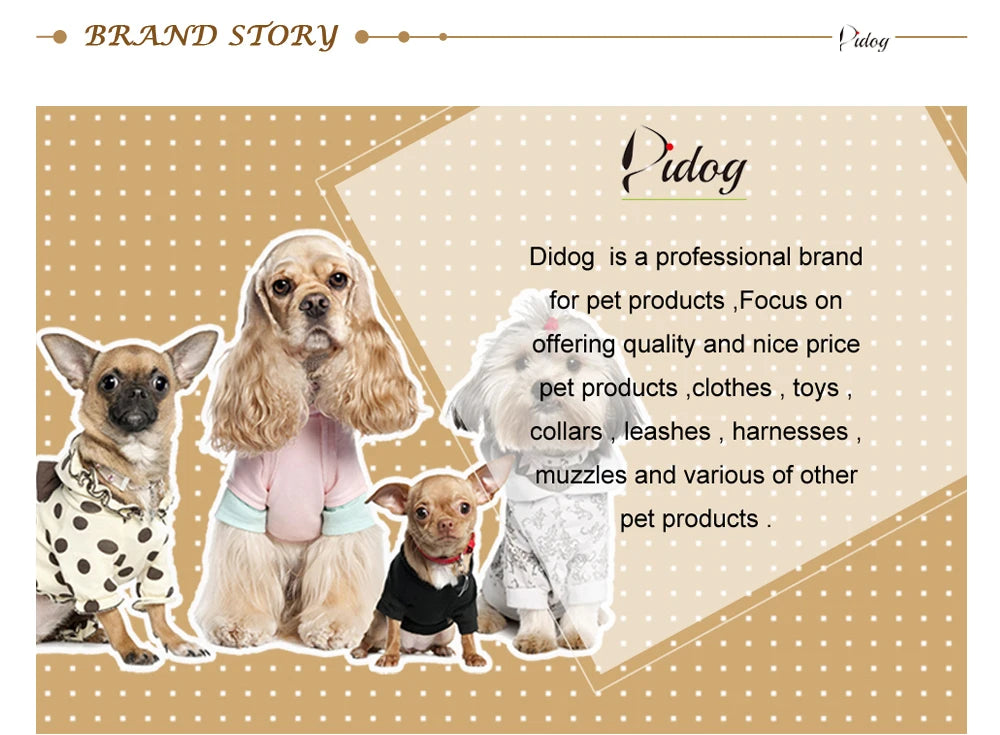 Padded Winter Dog Coat - Small to Medium Dogs