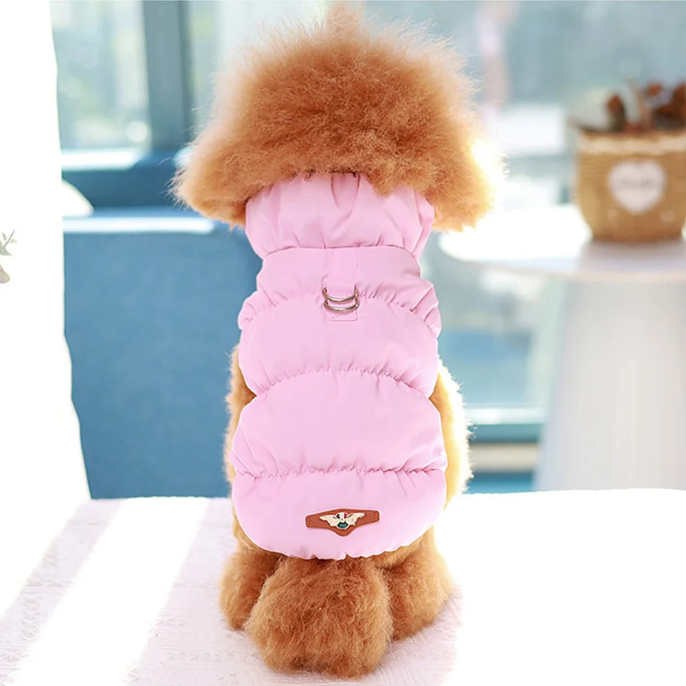 Padded Winter Dog Coat - Small to Medium Dogs