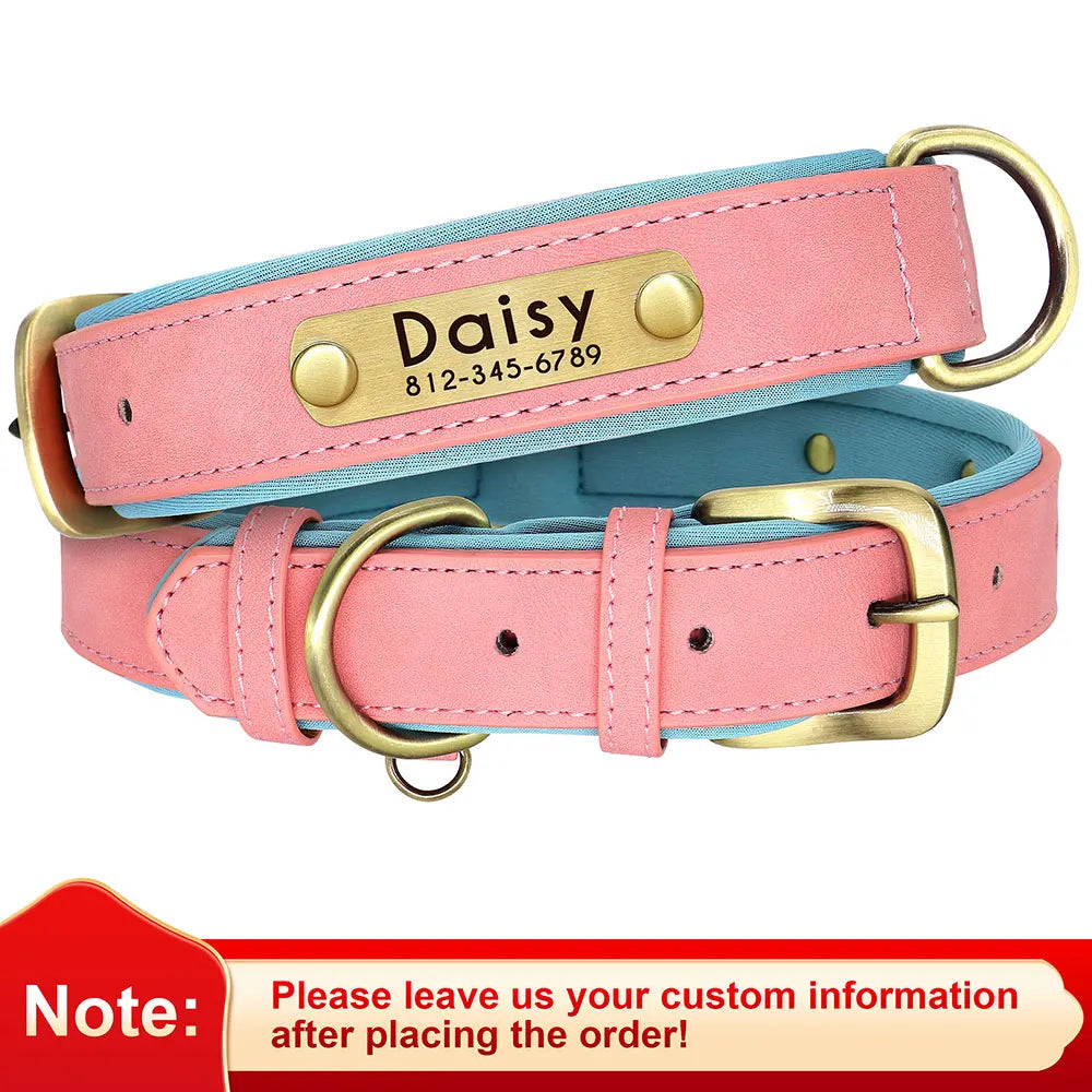 Paws & ID Custom Engraved Collar