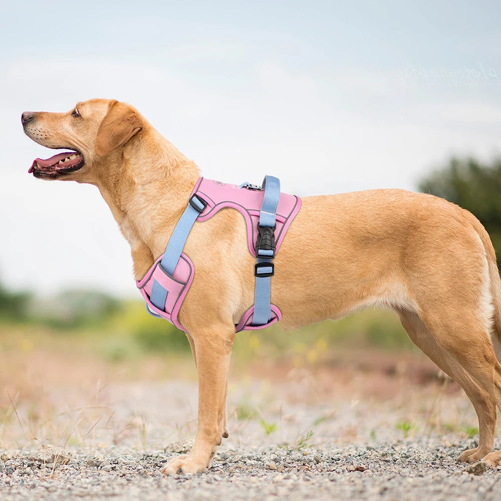 Breathe-Easy Safety Harness