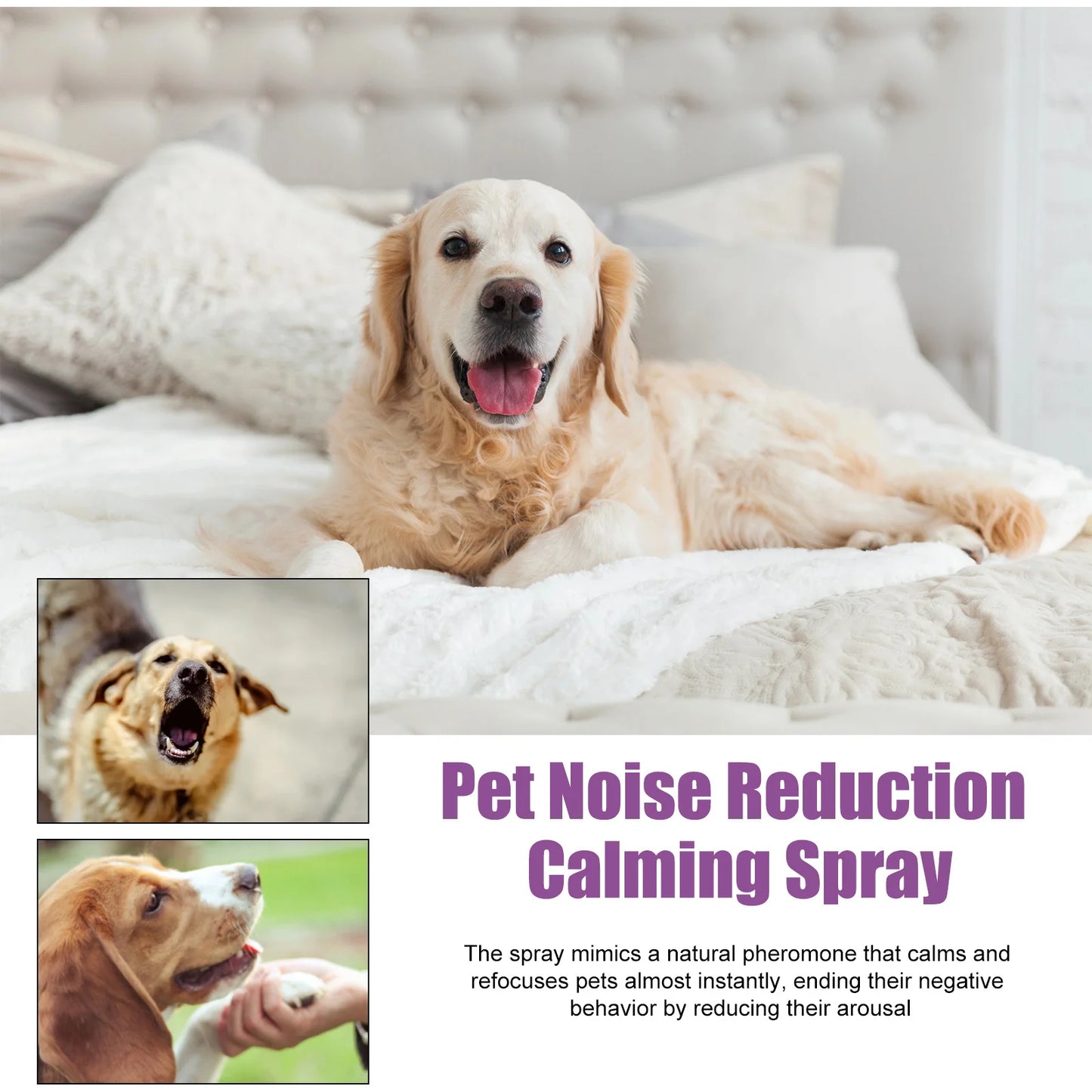Pet Anxiety Relief Spray - 2 Pack (50ml)