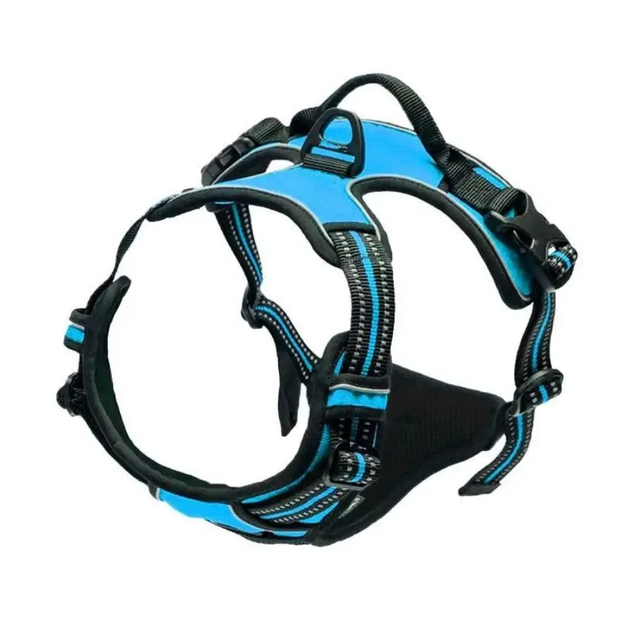 Dog Harness and Leash Set - Small to Medium Dogs