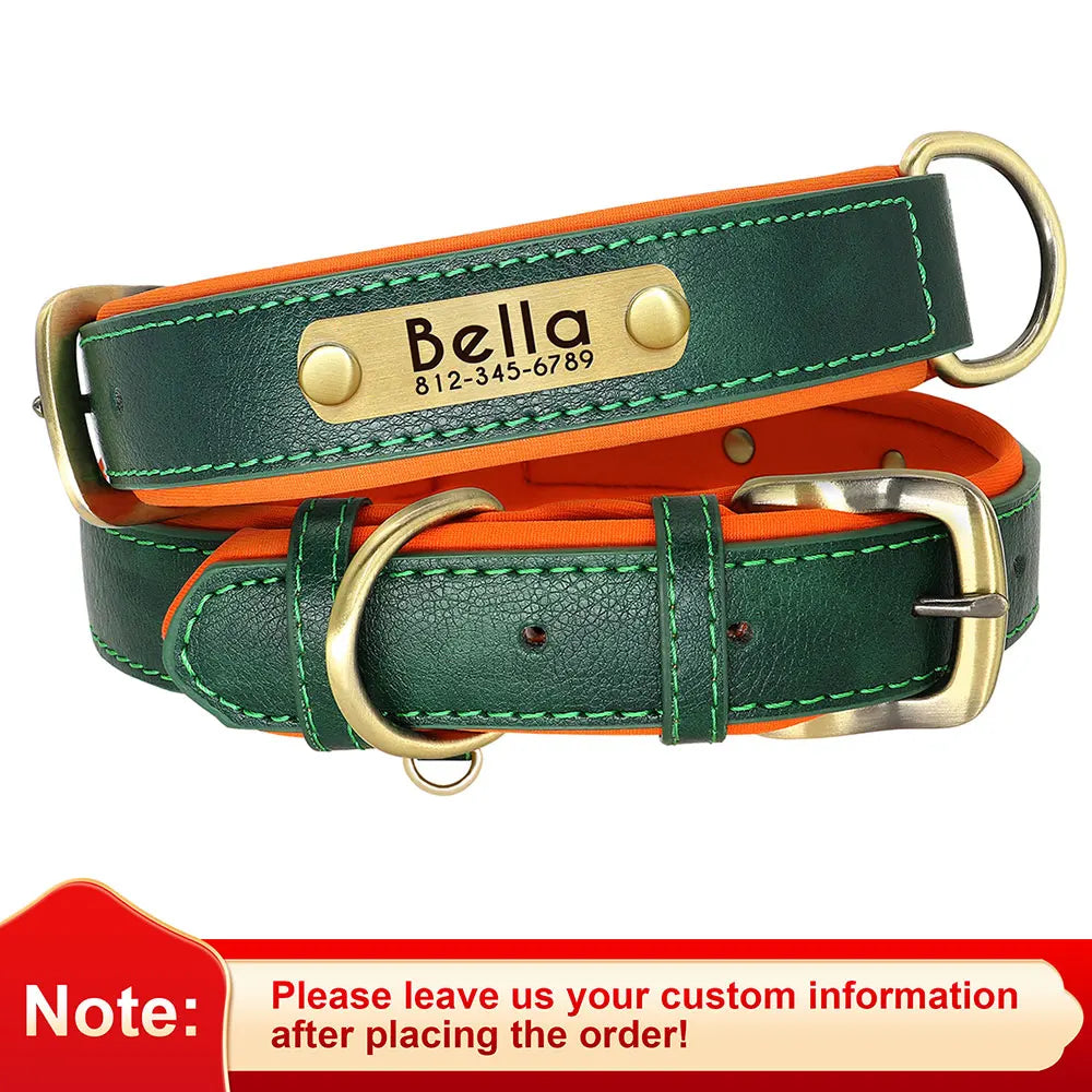 Paws & ID Custom Engraved Collar