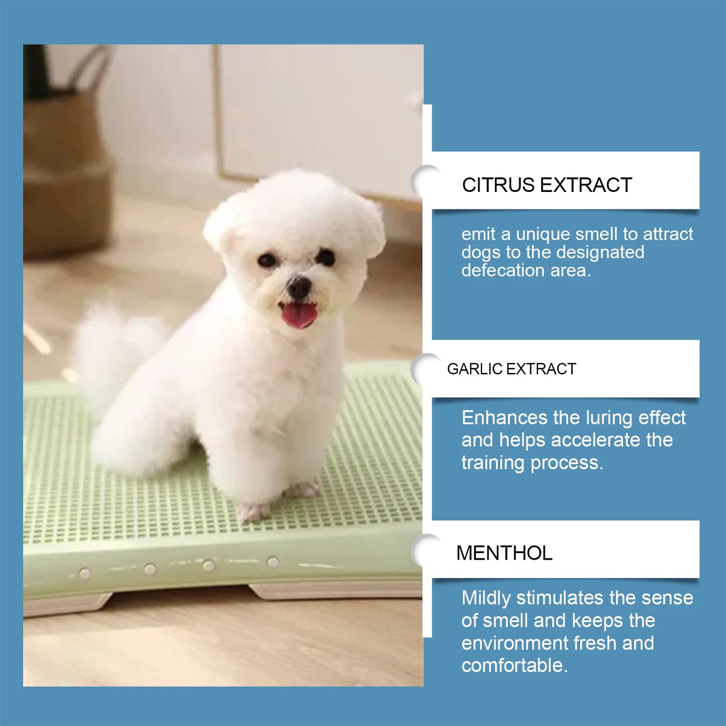 YEGBONG 50ml Pet Potty Training Spray