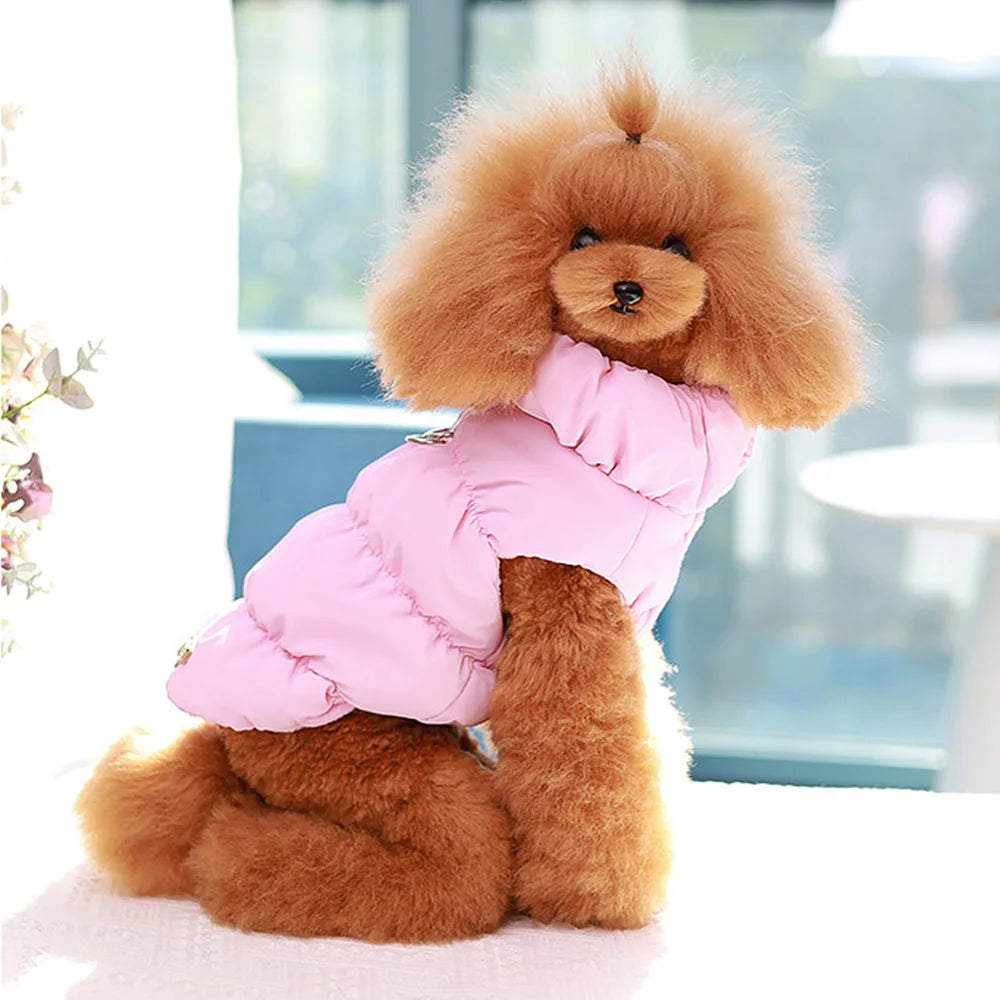 Padded Winter Dog Coat - Small to Medium Dogs