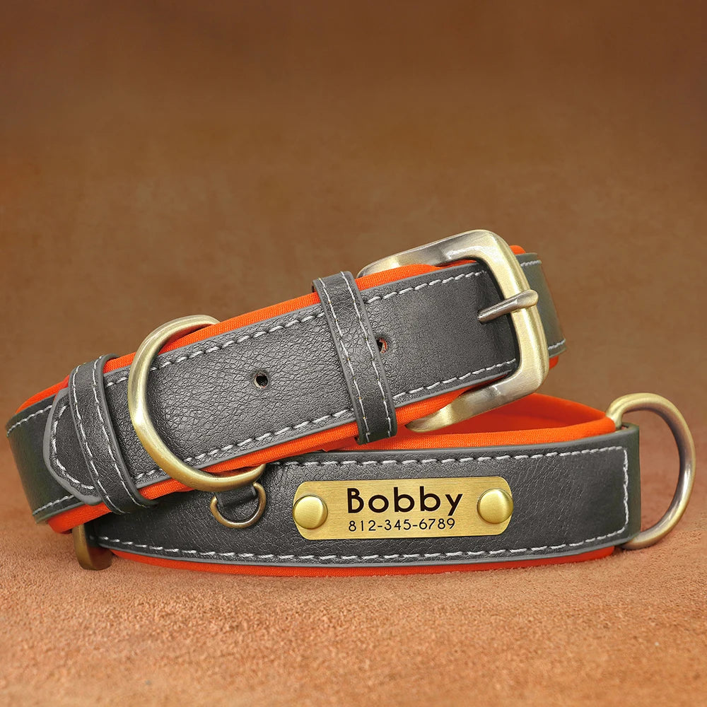 Paws & ID Custom Engraved Collar