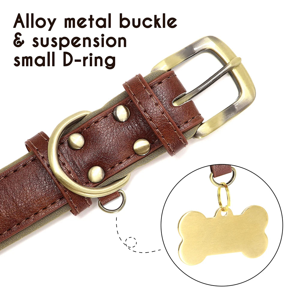 Paws & ID Custom Engraved Collar