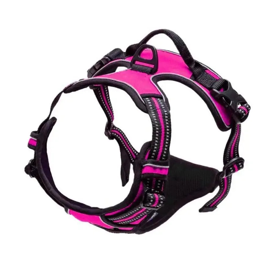 Dog Harness and Leash Set - Small to Medium Dogs