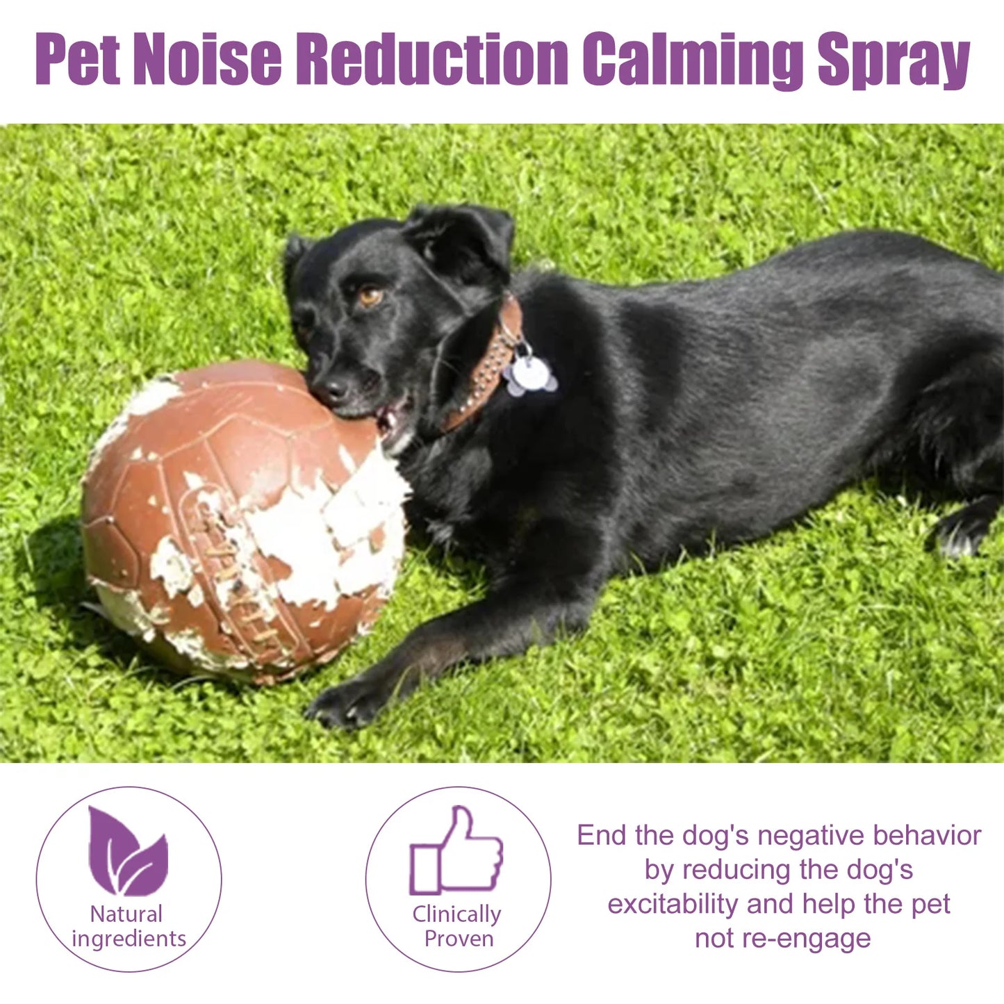 Pet Anxiety Relief Spray - 2 Pack (50ml)