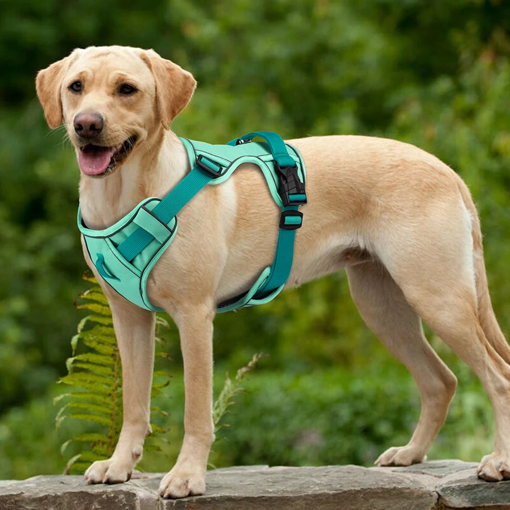 Breathe-Easy Safety Harness