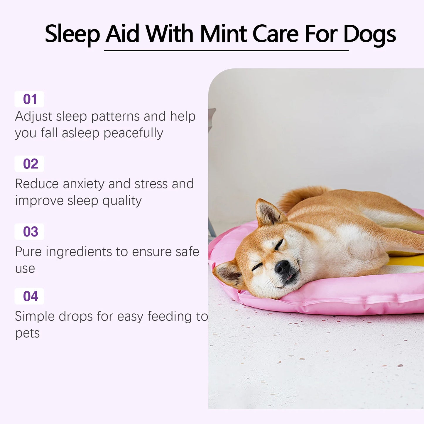 Dreamland Sleep Support Drops