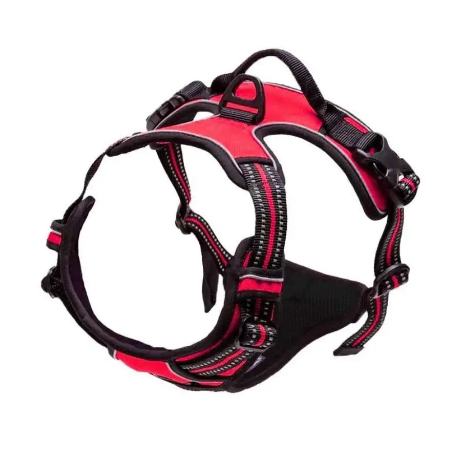 Dog Harness and Leash Set - Small to Medium Dogs