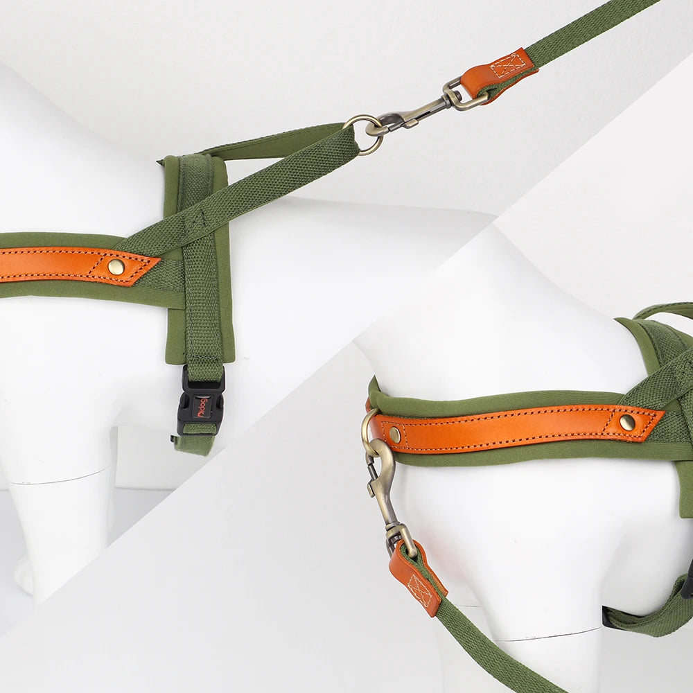 Gentle Walk Harness