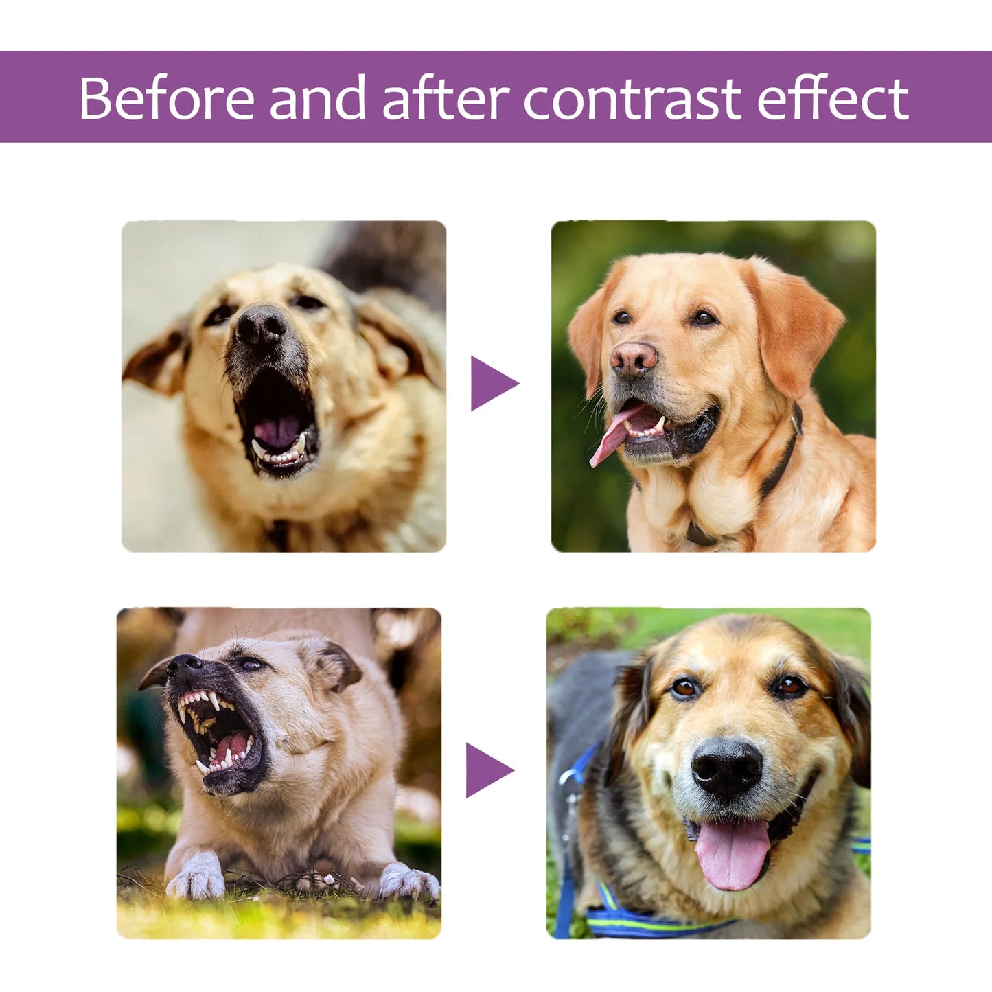 Pet Anxiety Relief Spray - 2 Pack (50ml)