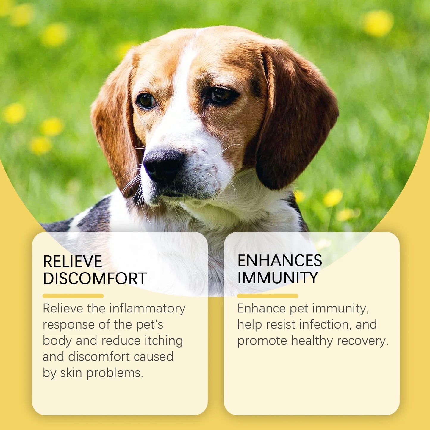 YEGBONG 60ml Herbal Anti Inflammatory Pet Supplement Liquid Drops