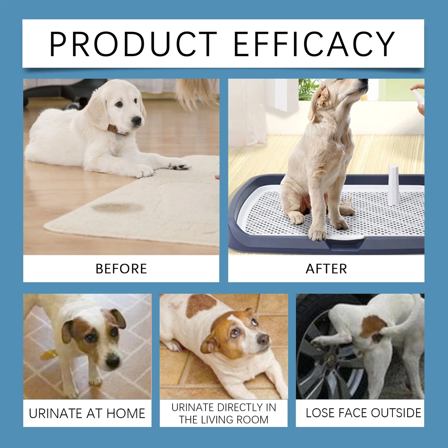 YEGBONG 50ml Pet Potty Training Spray