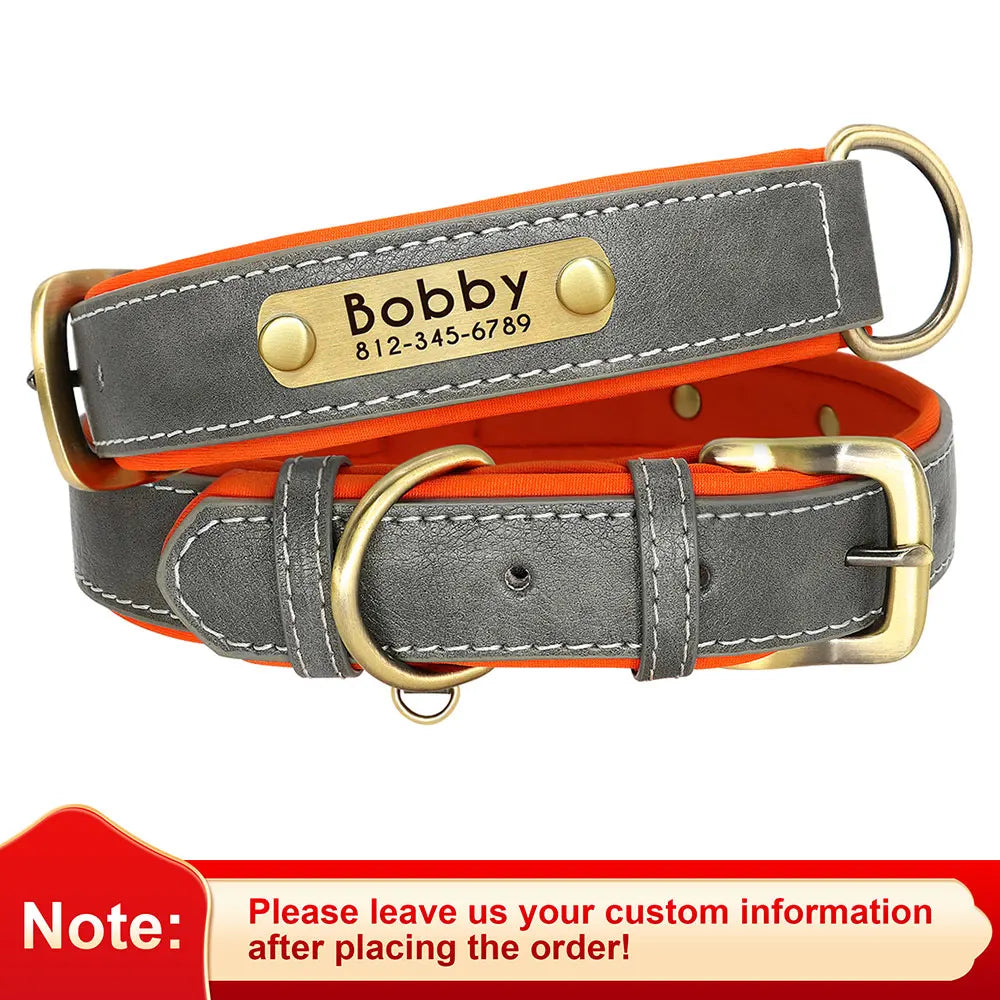 Paws & ID Custom Engraved Collar