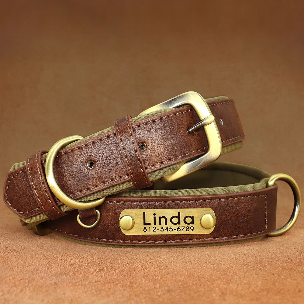 Paws & ID Custom Engraved Collar