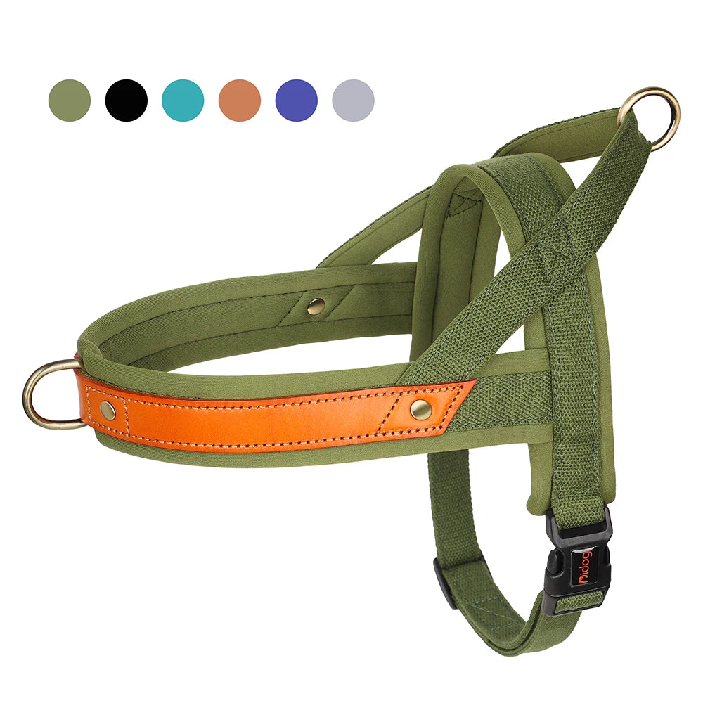Gentle Walk Harness
