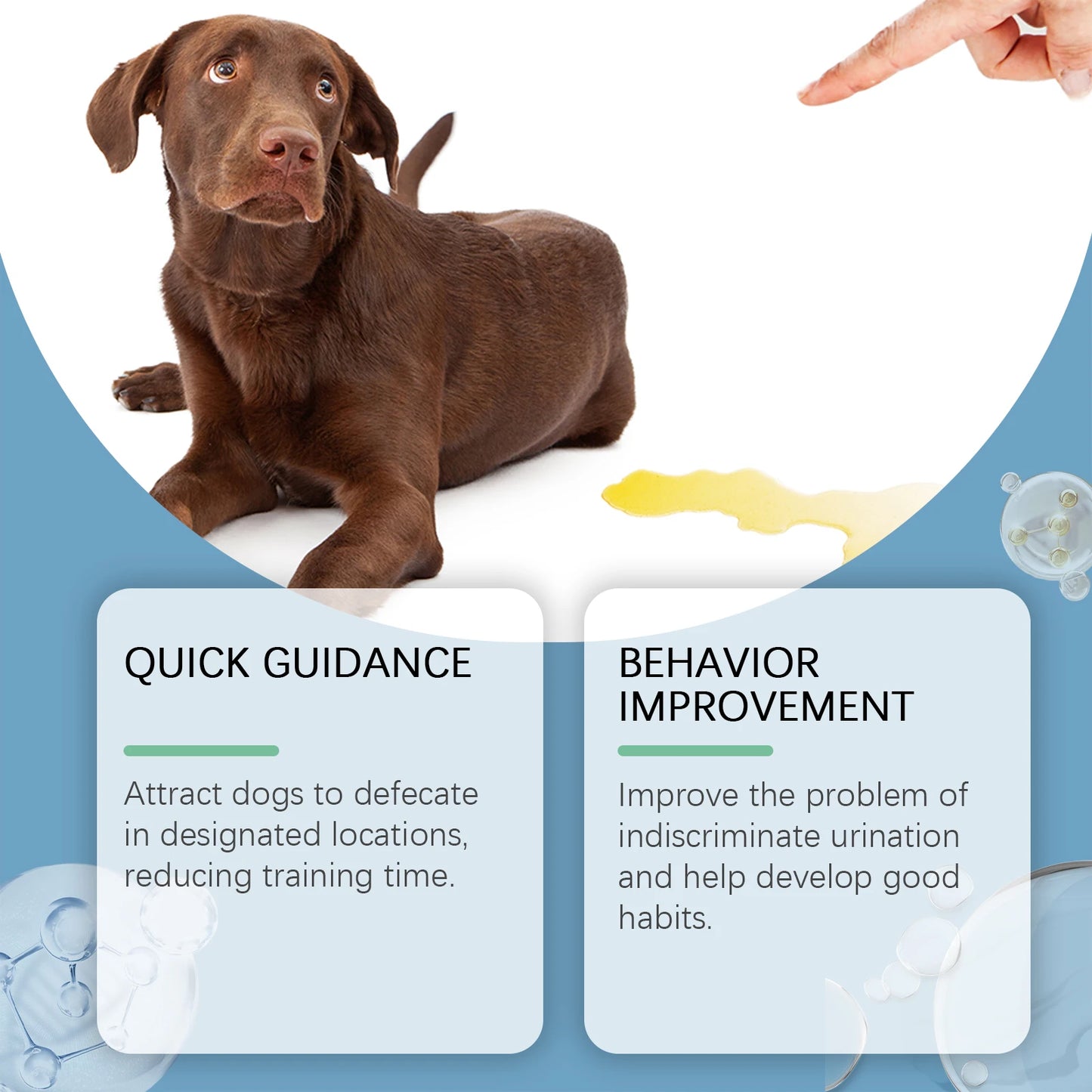 YEGBONG 50ml Pet Potty Training Spray