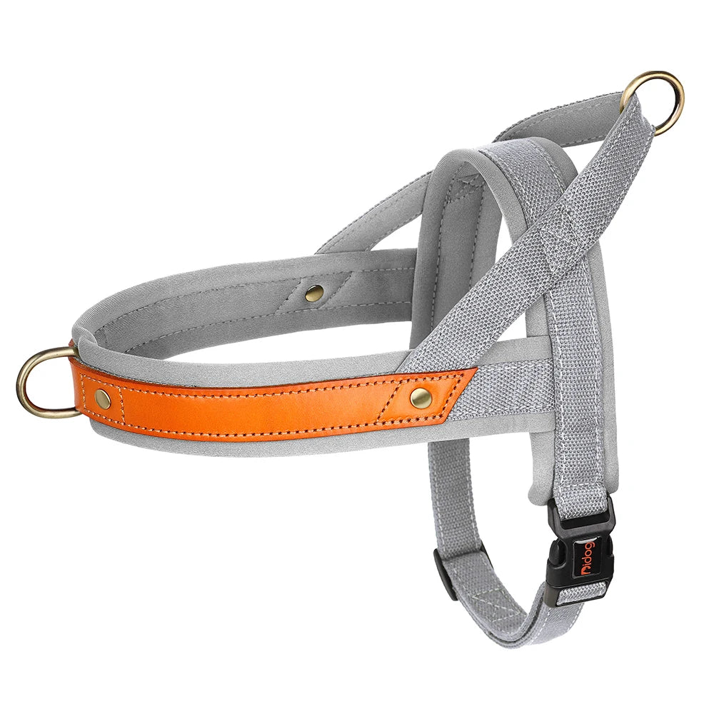 Gentle Walk Harness