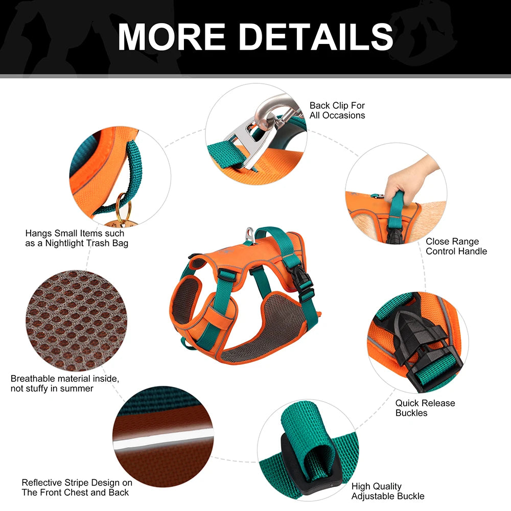 Breathe-Easy Safety Harness