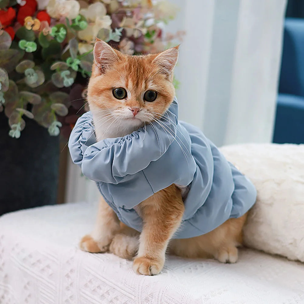 Padded Winter Dog Coat - Small to Medium Dogs