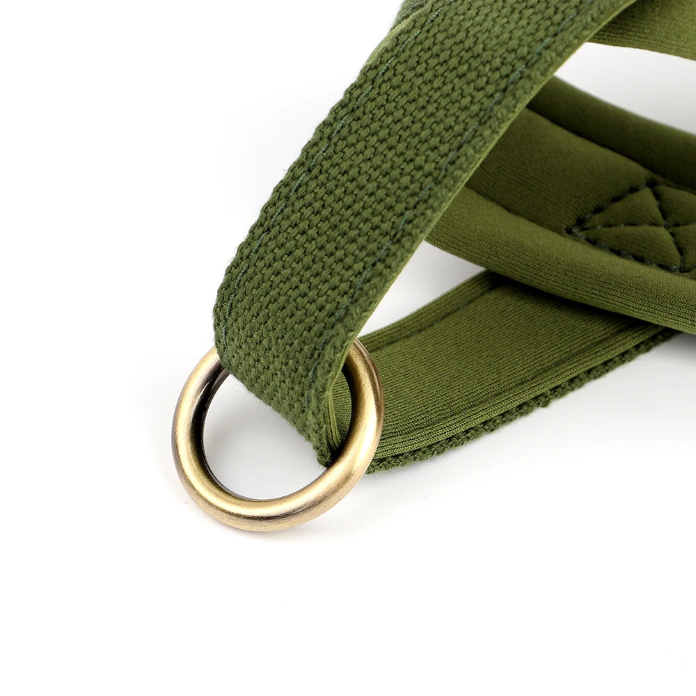 Gentle Walk Harness