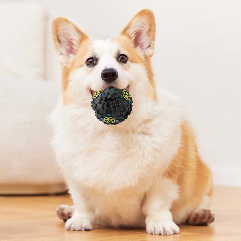 Chomp & Play Interactive Treat Ball