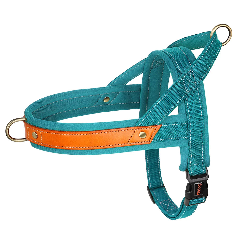 Gentle Walk Harness