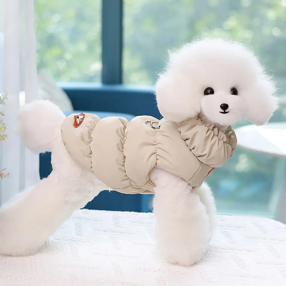 Padded Winter Dog Coat - Small to Medium Dogs