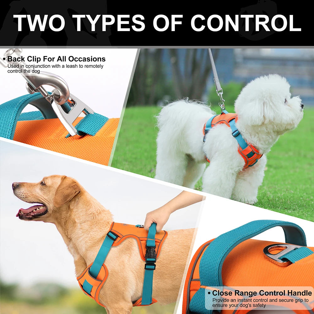 Breathe-Easy Safety Harness