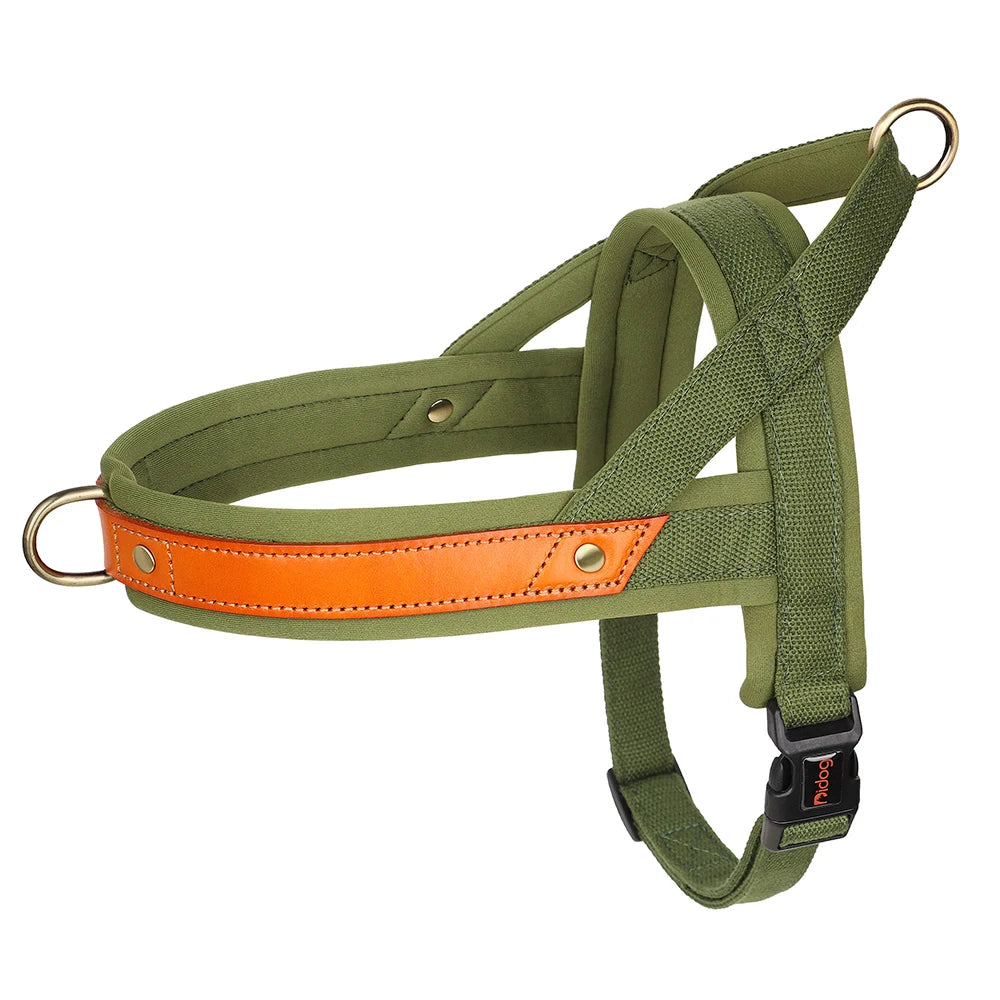 Gentle Walk Harness