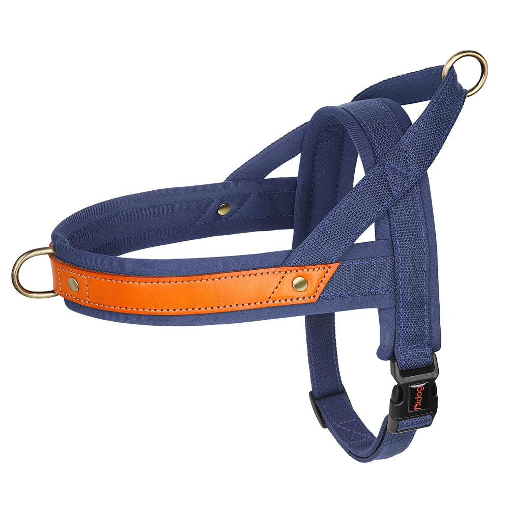 Gentle Walk Harness