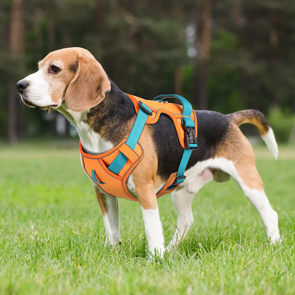 Breathe-Easy Safety Harness