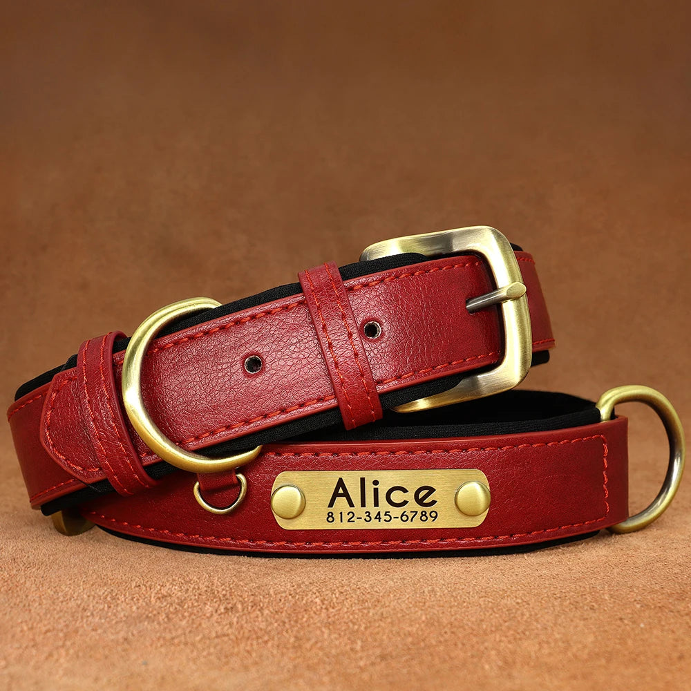 Paws & ID Custom Engraved Collar