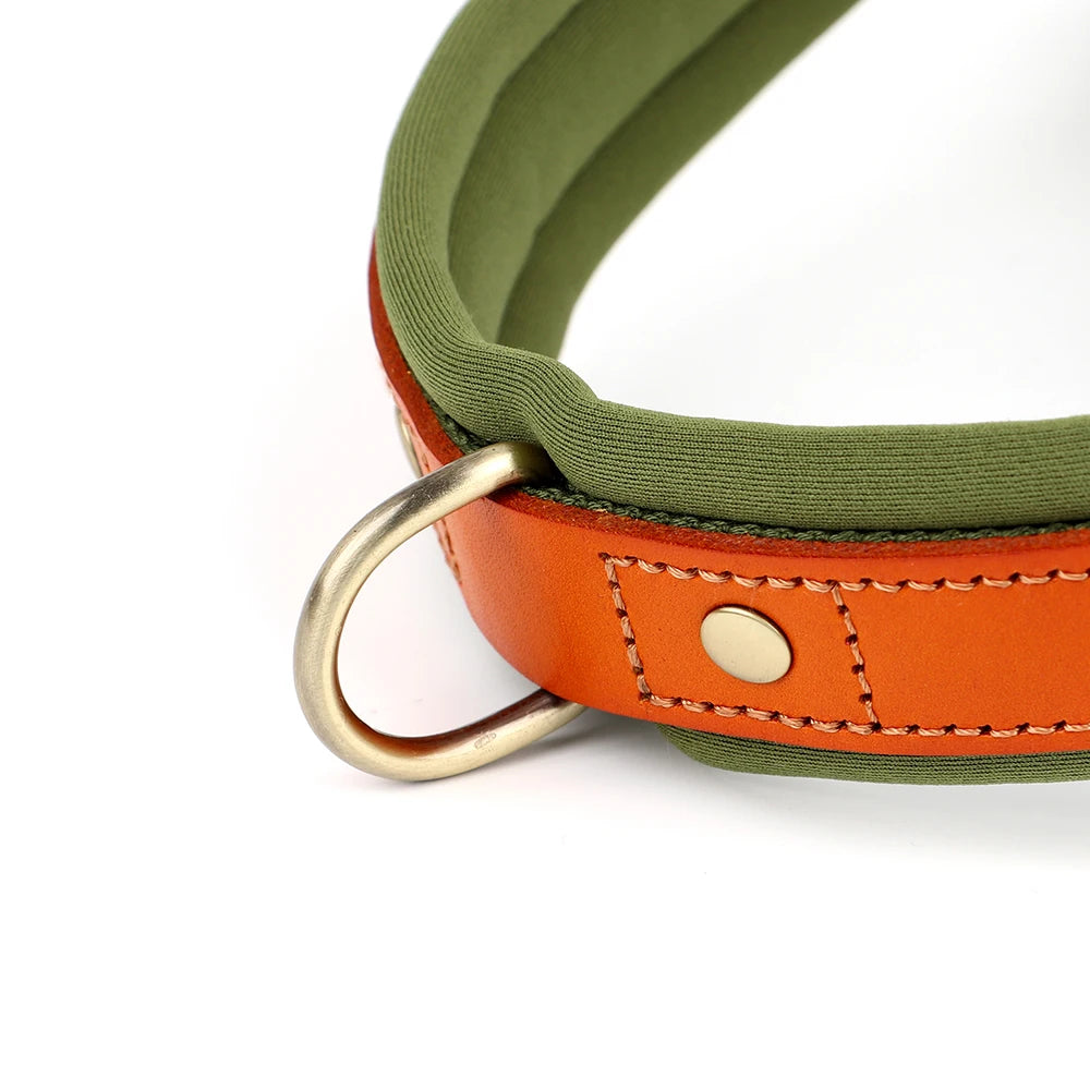 Gentle Walk Harness