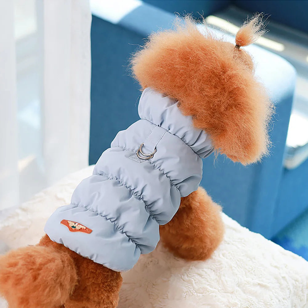 Padded Winter Dog Coat - Small to Medium Dogs