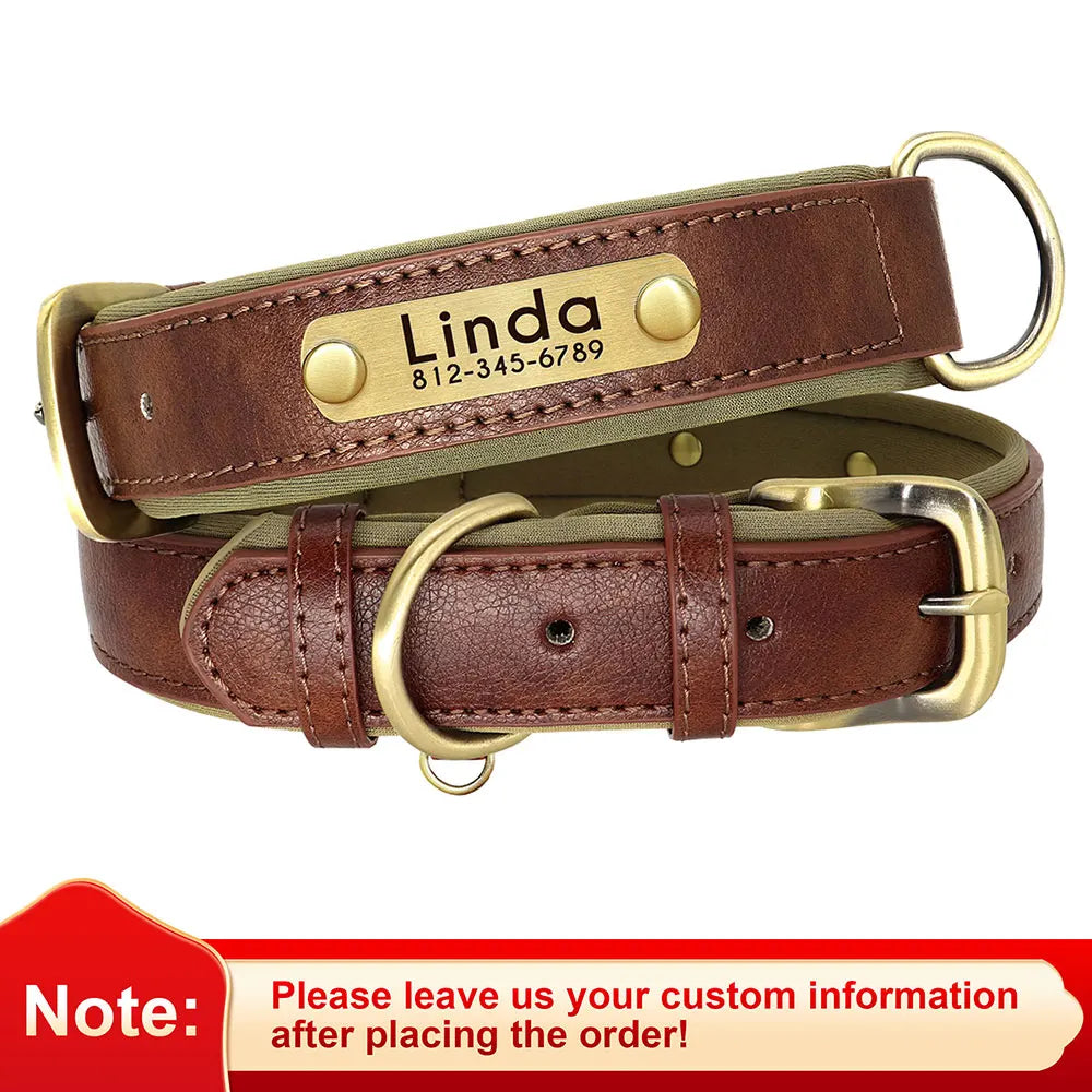Paws & ID Custom Engraved Collar