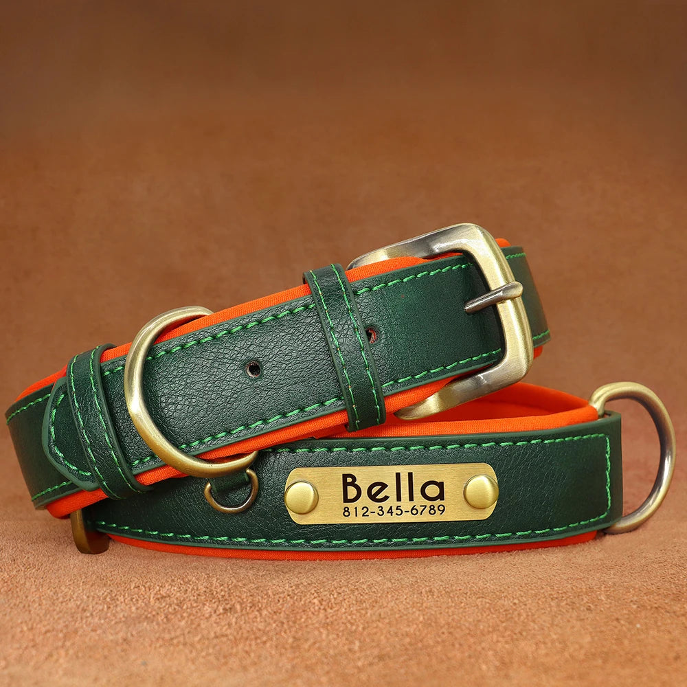Paws & ID Custom Engraved Collar