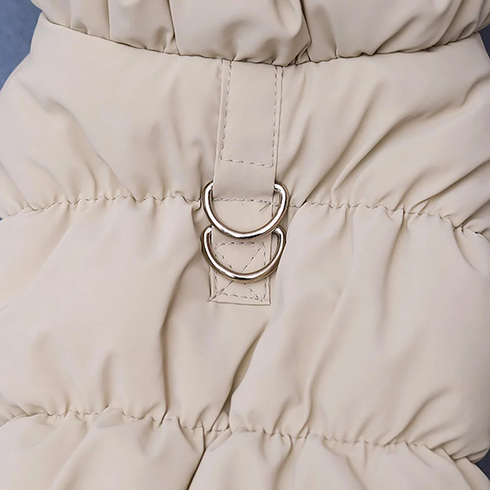 Padded Winter Dog Coat - Small to Medium Dogs