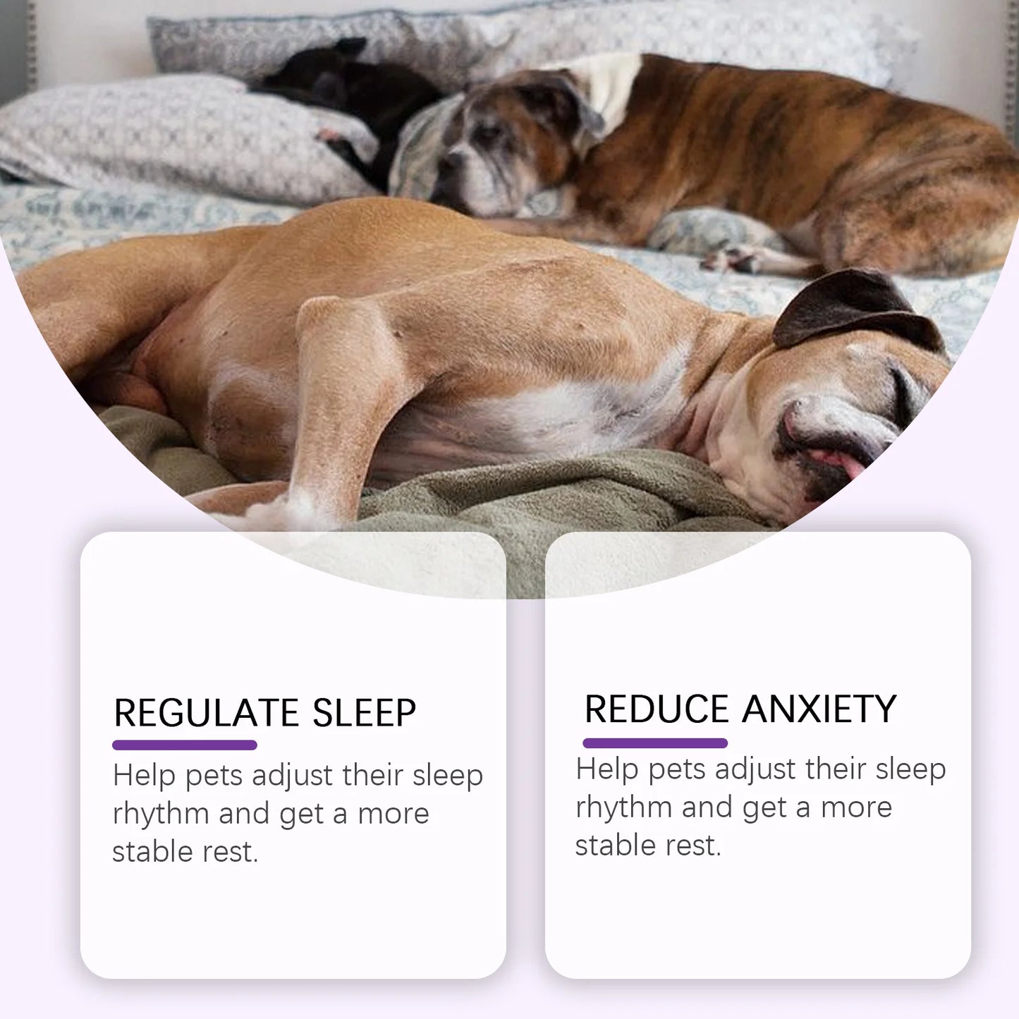 Dreamland Sleep Support Drops