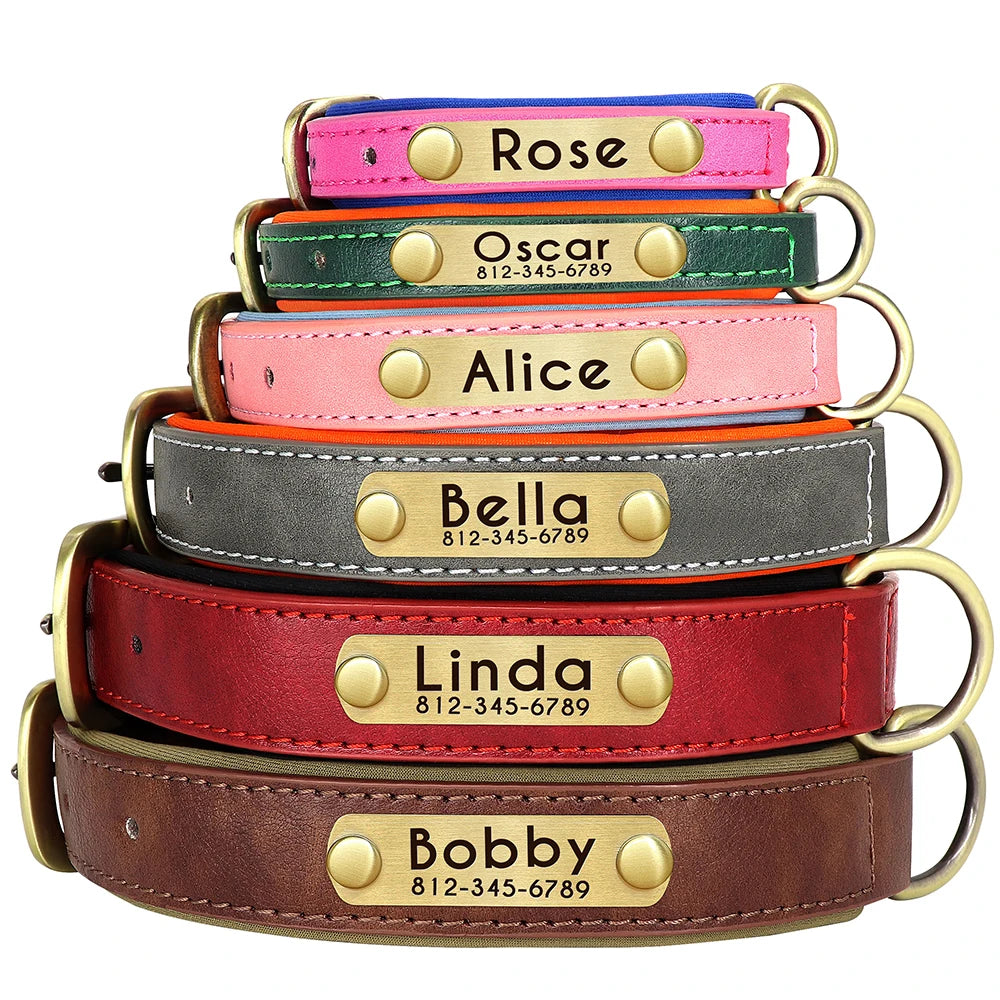 Paws & ID Custom Engraved Collar