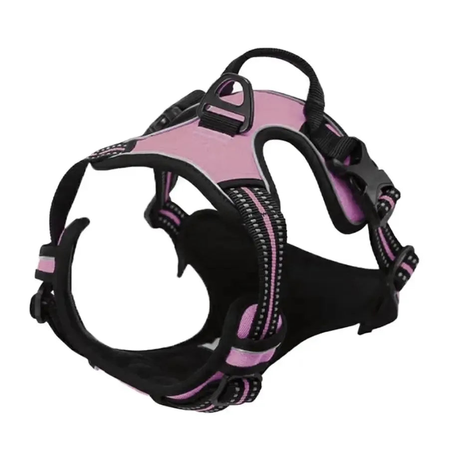 Dog Harness and Leash Set - Small to Medium Dogs