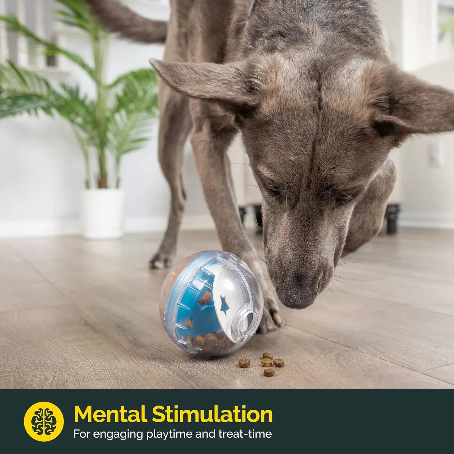 IQ Treat Ball Dog Treat Dispenser