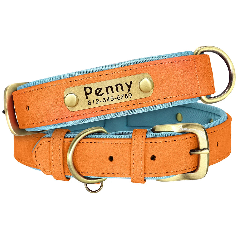Paws & ID Custom Engraved Collar