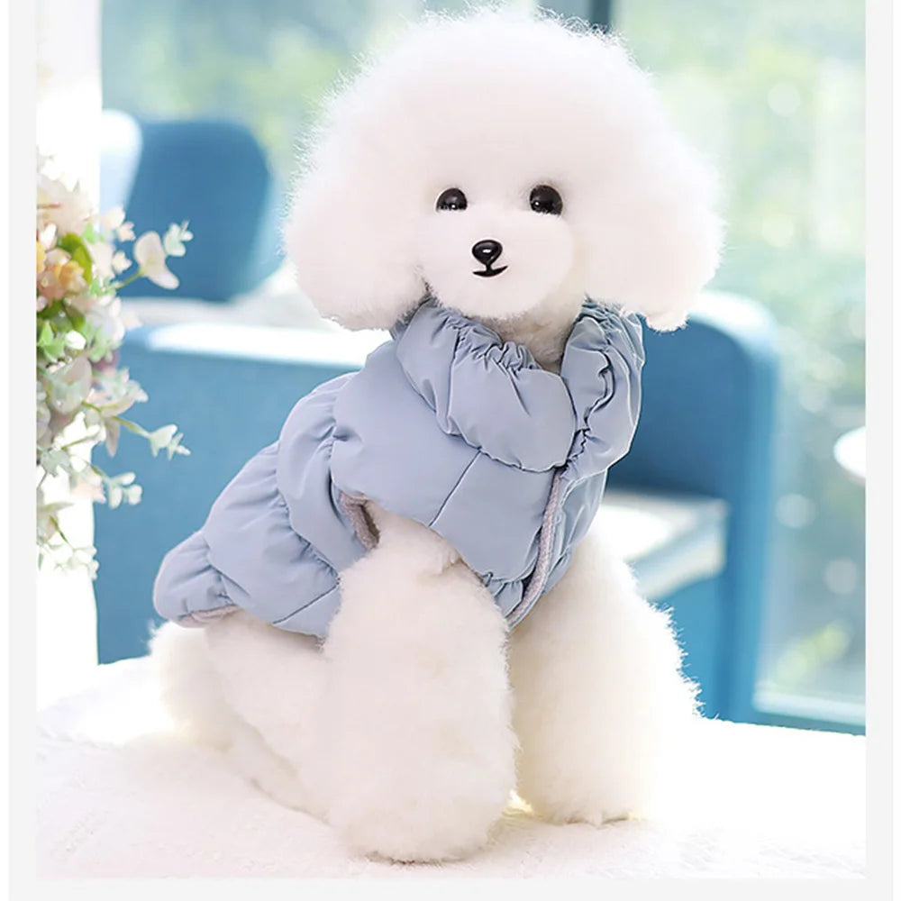 Padded Winter Dog Coat - Small to Medium Dogs