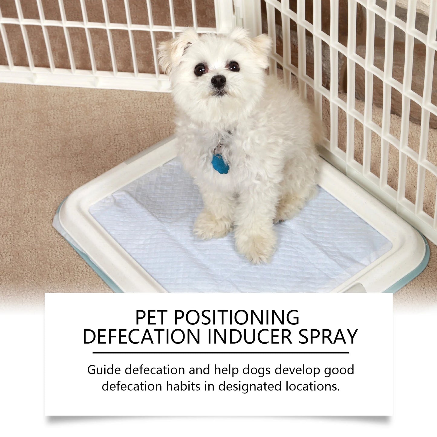 YEGBONG 50ml Pet Potty Training Spray
