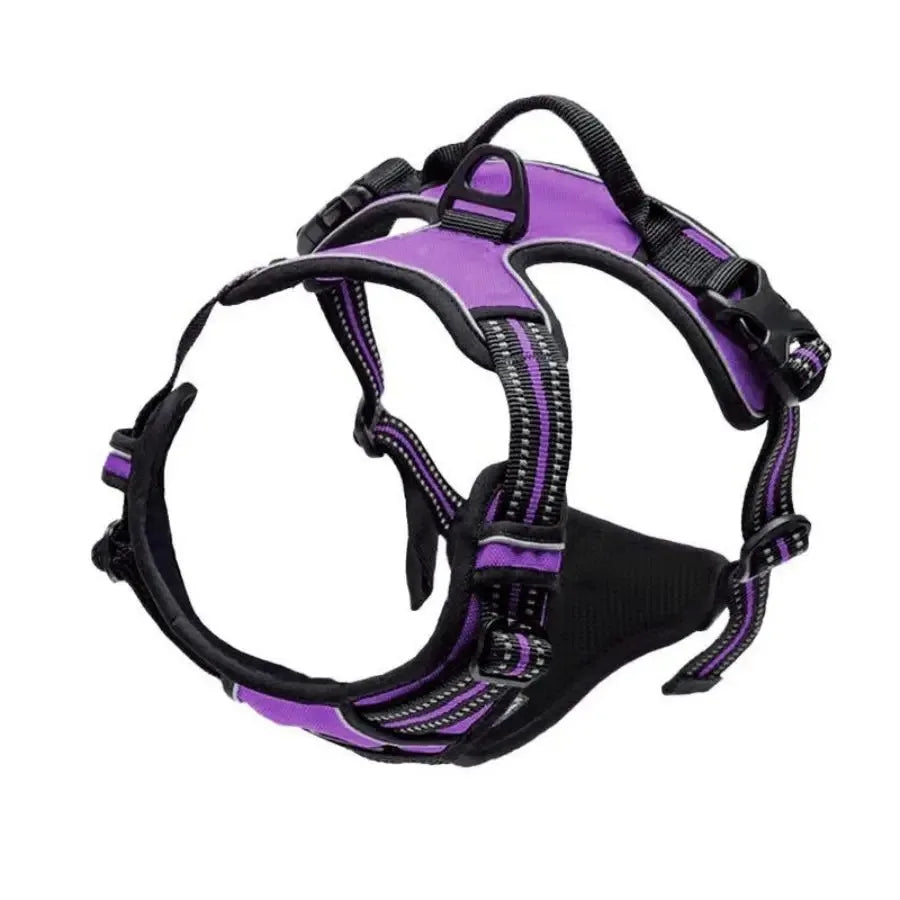 Dog Harness and Leash Set - Small to Medium Dogs